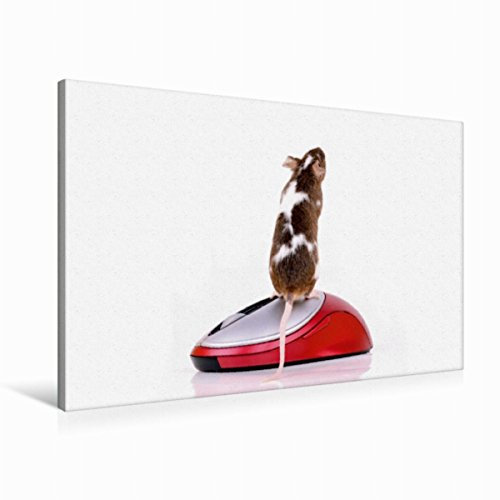 Premium Textil-Leinwand 90 x 60 cm Quer-Format Maus auf Maus | Wandbild, HD-Bild auf Keilrahmen, Fertigbild auf hochwertigem Vlies, Leinwanddruck von Klaus Eppele