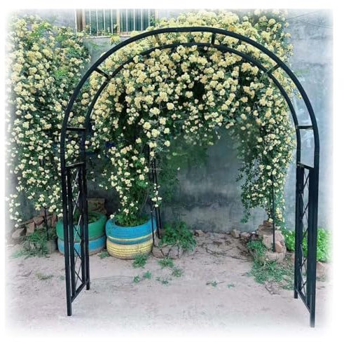 Metal Pesado Arco De Jardín Soporte Rosales Y Plantas Trepadoras, Decoración De Patio Pérgola,Exterior Arco Para Rosas,césped Enrejado,Negro,Blanco,Verde(Black,240cm de alto x 200cm de ancho)