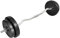 vidaXL Hantelstange 30 kg Set Langhantel Curlstange Langhantelstange Hanteln