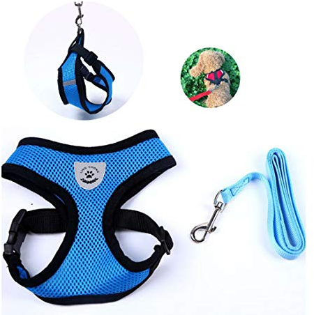 Atmungsaktives Geschirr mit Leine für Chihuahua Yorki Welpen | Schwarz Pink Rot Blau | Verstellbar Sichere Kontrolle Reflektor | Welpengeschirr Weste Brustgeschirr Luftdurchlässig Hund Katze (Blau)