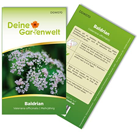 Baldrian Samen - Valeriana officinalis - Baldriansamen - Kräutersamen - Saatgut für 100 Pflanzen