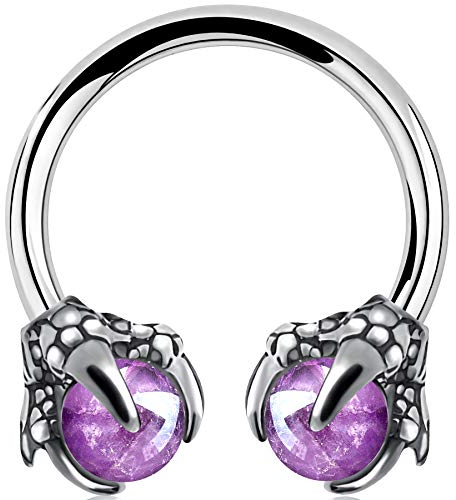 OUFER Body Piercing Horseshoe Earrings Helix Piercing 316L Surgical Steel Helix Earrings Dragon Claws Circular Ring Cartilage Earring Body Piercing Amethyst