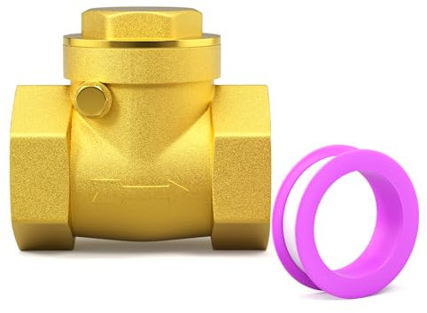 GASHER 1PCS Swing Brass Check Valve DN50 2 Female Thread, Backflow Prevention, One Way Check Valves for Sump Pump and Air Compressor, Gas Air Fuel Oil Water