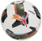 PUMA Orbita 1 TB (FIFA Quality Pro)