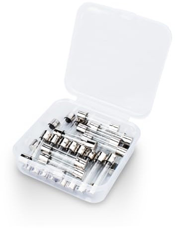 Innfeeltech 25 Stück träge Glassicherungen 6 * 30mm 250V 5A Träge Röhrensicherungen Sortimentskit