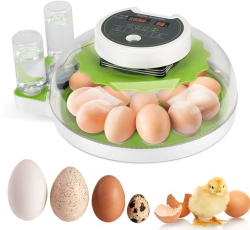 Automatische Brutmaschine für 18 Eier, Inkubator für Eier für Feuchtigkeit und Sichtkontrolle, 360 ° Sichtbarkeit, Wasserauffüllung, Brutmaschinen für Geflügel, Wachtel, Tauben