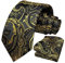 HISDERN Krawatte Herren Paisley Krawatte und Einstecktuch Set Krawatten Schwarz/Gelb
