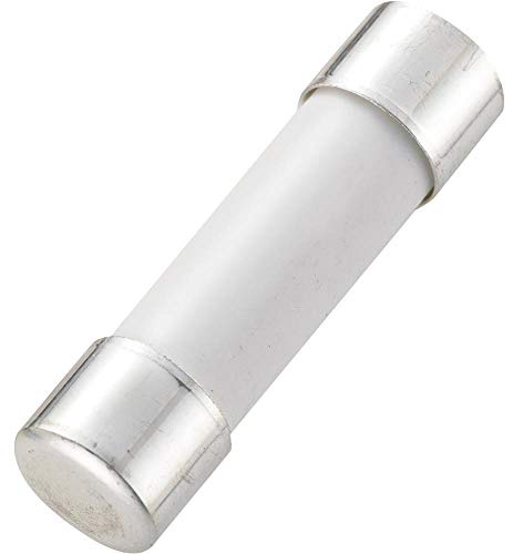 TRU COMPONENTS 442403 HC10aR Feinsicherung (Ø x L) 10.3 mm x 38 mm 10 A 1000 V Flink -F- Inhalt 1 St.