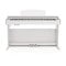 DP-10X Digital Piano 88 Weighted Keys Hammer Action White