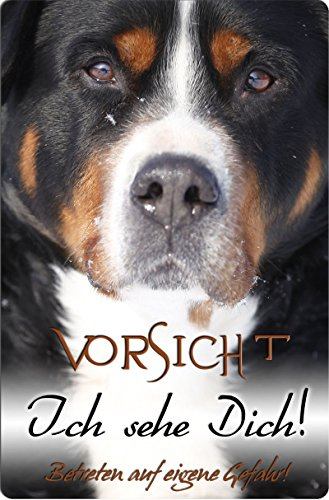 Nanyuk +++ Großer Schweizer Sennenhund - Metall Warnschild Schild Hundeschild Sign - GSS 01 T5