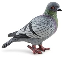 Papo - Figurines à Collectionner - Pigeon - Animaux des Jardins - pour Enfants - Filles Et Garçons - A Partir de 3 Ans