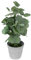 GREENADSCAPE Realistische simulierte grüne Pflanze künstliche Topf Begonie Indoor Decor Schreibtisch Bonsai Ornament