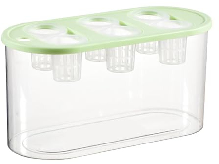 Hydrokultur-Vase mit 6 Fächern, Aquarium, für den Innenbereich, Grün