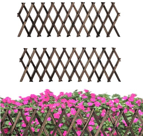 2 Stück erweiterbares Garten-Rankgitter, Holzgitter, Wandzaun, Rankgitter für Kletterpflanzen, Outdoor, Efeu, Ranke, Rosen, Clematis für Garten, Terrasse, Raumdekoration (2)