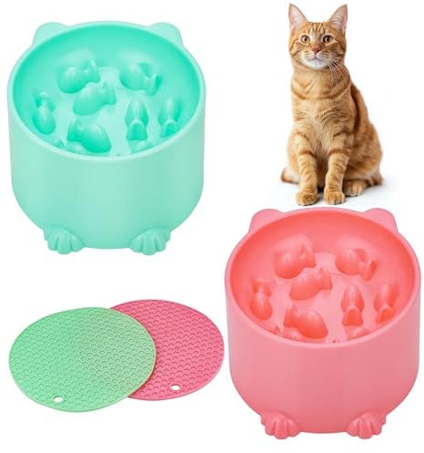 Hejo 2 Pièces Gamelle Anti-Glouton Chat Surélevée - Bol Anti-Vomissement Facile à Nettoyer Avec Tapis Antidérapant pour Nourriture & Eau (Rose & Vert)
