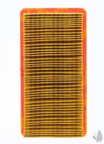 GREENSTAR 5490 Luftfilter für Tecumseh GEOtec OHV 135 x 69 x 32 mm