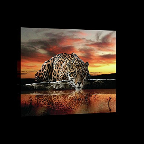 Forwall - Leinwand Bilder - Jaguar Sonnenuntergang Tiere - 100x75 cm Leinwandbilder - Bild auf leinwand - Wandbild XXL groß Wandbilder für Wohnzimmer Schlafzimmer Wohnzimmerbilder Modern kunstdruck