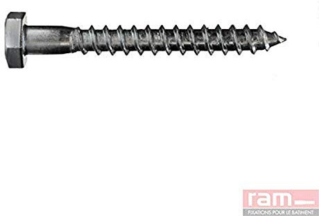 Ram - Tirefond Acier Zingué, 8mm x 100mm, Gris, Boîte de 100