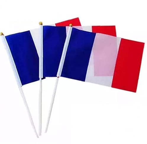 Luxylei Mini Drapeau de Poche 10 pièces Drapeau de bâton de France Petits Drapeaux de fanions nationaux bannière Drapeau de Pays pour la décoration de fête de Festival