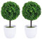 SEWACC 2 Uds Bola Topiario Artificial En Maceta Mini Planta De Boj En Maceta Faux Greenery Simulación Falsa Planta Verde para Mesa De Oficina Tienda Decoración De Fiesta