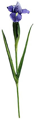 ABOOFAN Künstliche Irisblume Aus Pu Simulationsblume Gefälschte Blume Für Hochzeitsdekoration Garten Dekoration Farbe Lebensechte Blume Für Valentinstag Und Zuhause