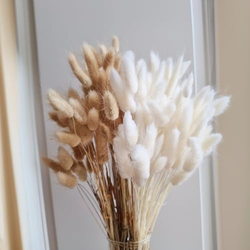 120 Pcs Pampasgras Klein,45 cm Trockenblumen,Natürliche und Weiße Farbe Trockenblumenstrauß,Getrocknete Blumen Perfekt für Hochzeiten Hausdekoration Hause Party Wedding Vase Deko(Primärfarbe und Weiß)