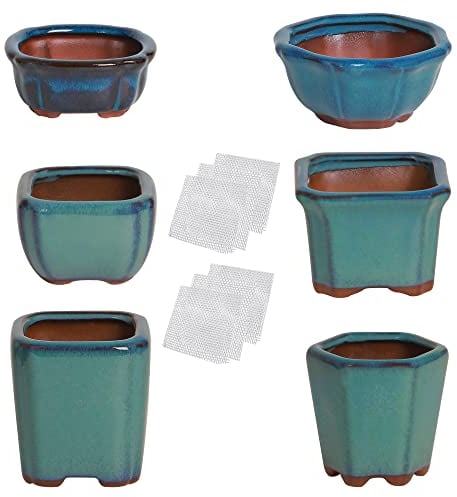 Happy Bonsai 6-teiliges Mini-Töpfe aus glasiertem Glas + 6 weiche Maschen-Drainagesiebe