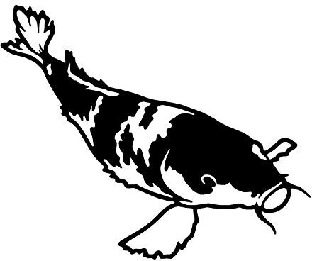SHMAZ 17,8 * 14,5 cm Koi Tierfisch Aufkleber Personalisierte Klassische Auto Styling Cartoon Dekorative Aufkleber