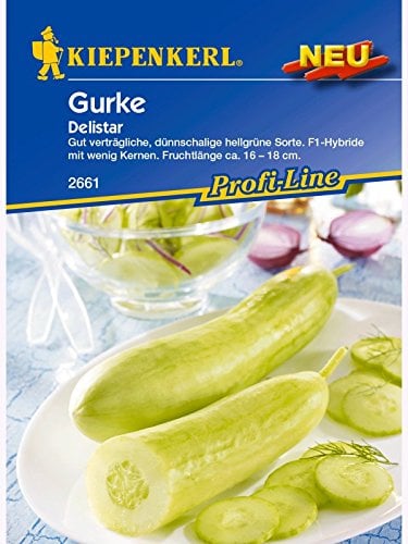 Kiepenkerl Salatgurke Delistar Saatgut