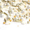 Streusel Cinderella weiss gold Weihnachten 90g Zuckerstreusel von STREUSEL GLÜCK Sprinkles zur Verzierung von Plätzchen Torte Kuchen Cupcakes Muffins oder Deko Silvester