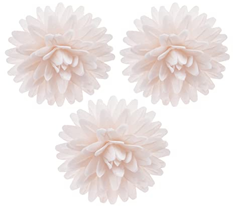 Essbare Blumen für die Torte aus Oblate, 12 Stück, je 4,5cm, weiß, Tortendeko Kuchen Deko Blüten