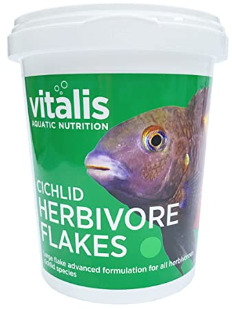 Vitalis Cichlid Herbivore Flakes für pflanzenfressende Cichliden Buntbarsche | Flockenfutter Fischfutter für Aquarium & Teich | Flocken Cichlidenfutter Fischfutter mit (40g)