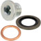 AERZETIX - C70495 - Verschlussschraube, Ölwanne - kompatibel mit Peugeot Citroën Dacia Fiat Ford Mercedes-Benz Infiniti Nissan Opel Renault Suzuki Volvo Mitsubishi Smart - OE-Nummern 016388