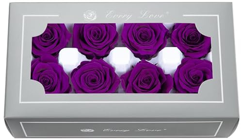 DorphyRoses 8 Stück Premium Rosenblüten (4-5 cm) Natürliche Echte Rosen - Für Home Deko, Hochzeit, Feier & DIY Basteln - 2-3 Jahre Haltbar (Classic Purple)