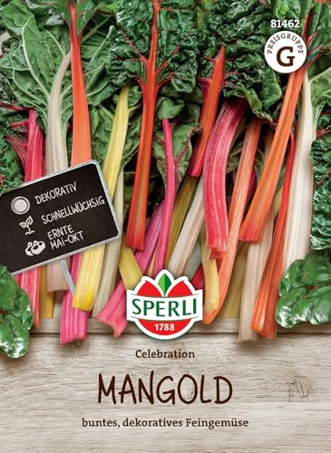 Sperli Mangoldsamen Celebration F1 81462, Gemüsesaat | Dekoratives Mangold Feingemüse, Schossfest