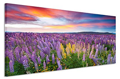 150x50cm Leinwandbild auf Keilrahmen Sonnenuntergang Blumenwiese Sommer Wandbild auf Leinwand als Panorama