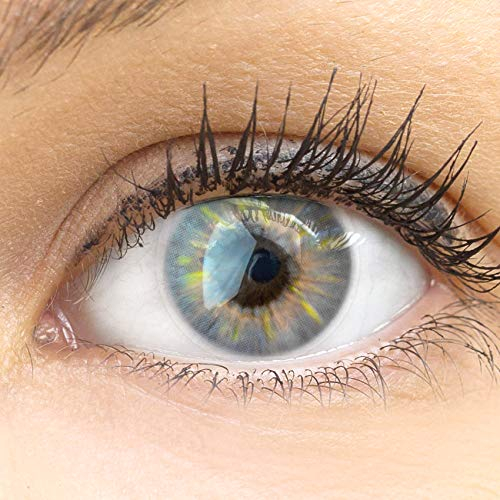 GLAMLENS Sevilla Gray grau + Behälter | Sehr stark deckende natürliche graue Kontaktlinsen farbig | farbige Monatslinsen aus Silikon Hydrogel | 1 Paar (2 Stück) | DIA 14.50 | Ohne Stärke