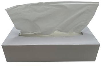 DE Healthcare Products – Kosmetiktücher (100 Stück), 2-lagige Taschentücher in weißer Box, weiche Papiertaschentücher, 1 Box x 100 Tücher