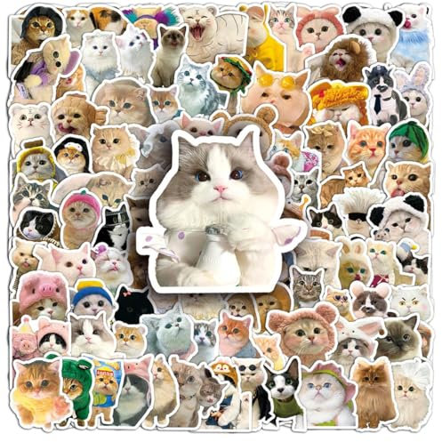 100 Stück Sticker, katzen sticker, Lustiges Katzen Aufkleber Set, cute Katzen Aufkleber wasserfeste Vinyl Aufkleber ästhetische Aufkleber für Katzenliebhaber Wasserflaschen Sammelalbum Telefon(Katze)