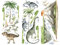 Wandsticker Kinderzimmer Jungen – Dinosaurier Wandaufkleber für Kinderzimmer und Spielzimmer – Selbstklebende Wanddeko für kreative Raumgestaltung