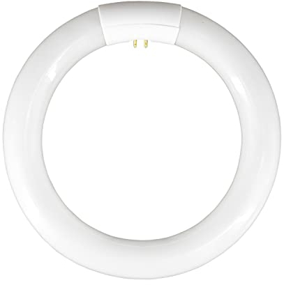 7hSevenOn - Tubo Fluorescente Circular T9 G10Q, Cristal/Plástico ABS, Difusor Opal, Interior, 1300lm Flujo Luminoso, Temperatura Color 6400K (Blanca Fría), 360º, 8000H Vida Útil, IP20, Color Blanco