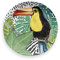 Lush Jungle Toucan Side Plate 21Cm Dia