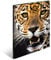 HERMA Sammelmappen A3 Leopard Set, 3 Stück, Kinder Eckspanner-Mappen aus Kunststoff mit Tier Motiv, Gummizug, Innenklappen und Innendruck für Jungen und Mädchen