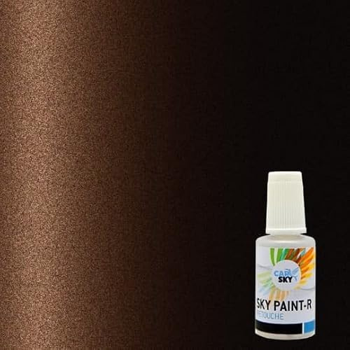 CARSKY Stylo retouche peinture carrosserie compatible avec Renault MARRON GLACE NACRE D17(flacon pinceau 20ml) + vernis brillant (flacon pinceau 20ml)