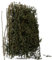 GLADFRESIT Miniature Shrubs Model - 1 Pack Scene Model Tree Platform Material Spiny Quinoa(Grass Green)