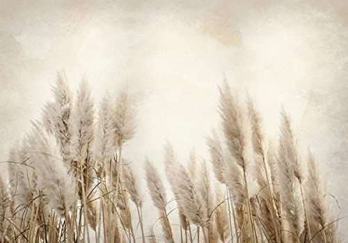 decomonkey Fototapete Natur 350x256 cm Tapete Fototapeten Vlies Tapeten Vliestapete Wandtapete moderne Wand Wandbild Schlafzimmer Wohnzimmer Foto Wiese Pflanzen Stein beige braun