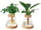 2Pcs Plant Propagation Terrarium, Glass Plant Propagation Station Plant Cuttings Holder Desktop Plant Glass Vase Pot Flower Vase Jar for Growing Hydroponic Plants (D)