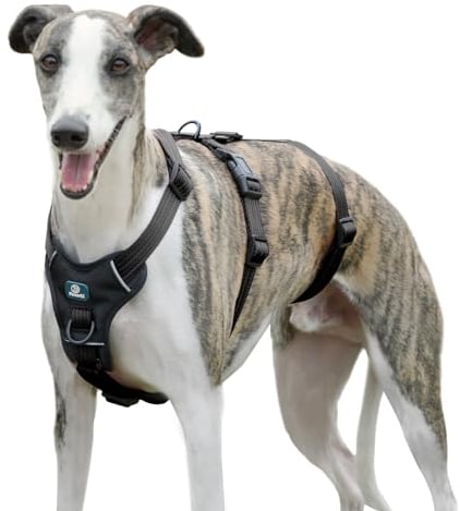 Paworld Sicherheitsgeschirr Hund, Panikgeschirr für Hunde, Ausbruchsicheres Geschirr Hund, Anti Zug Hundegeschirr, Atmungsaktiv, Verstellbare Weste für große Hunde, Gehen und Training (Schwarz, L)