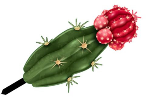 Abaodam Statua Di Cactus Da in Acrilico Da Per Esterni Per o Aiuola Segni Creativi