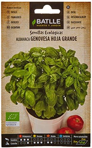 Semillas Batlle Albahaca Genovesa hoja grande – ECO